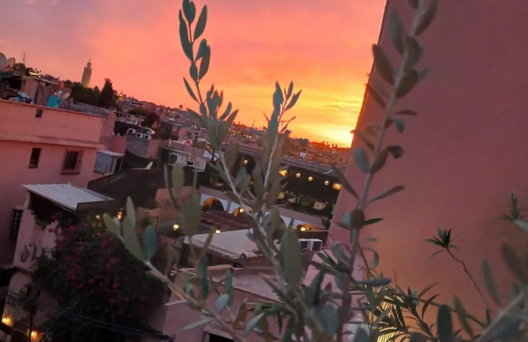 Riad Dantella-1